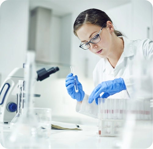 Feasibility Studies For Package Quality Testing